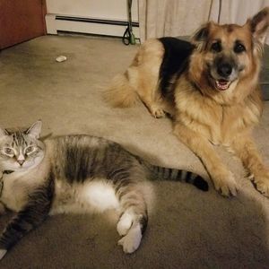 Meet your Posher, Marisa